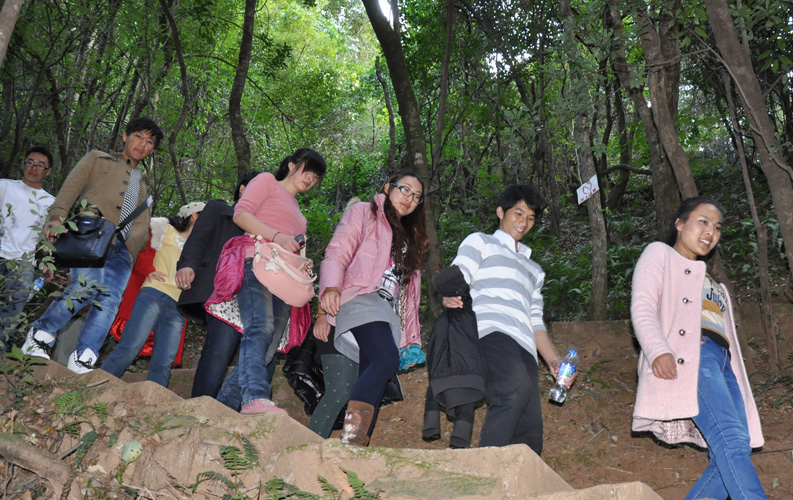 青龍峽位于昆明西郊安寧市青龍鎮(zhèn)滇中生態(tài)大峽谷中，景區(qū)有保存較為完好的植物群落，遮天蔽日的參天古木；有浪漫山花，野果飄香，還有清秀寧靜的田園風(fēng)光。河谷沿岸古柳成蔭，幾十里的云南櫻花大道成為昆明郊游靚麗的風(fēng)景線。景區(qū)中溪水潺潺，千姿百態(tài)、千奇百怪的蔓藤風(fēng)光隨處可見，號(hào)稱“都市身旁的小九寨。